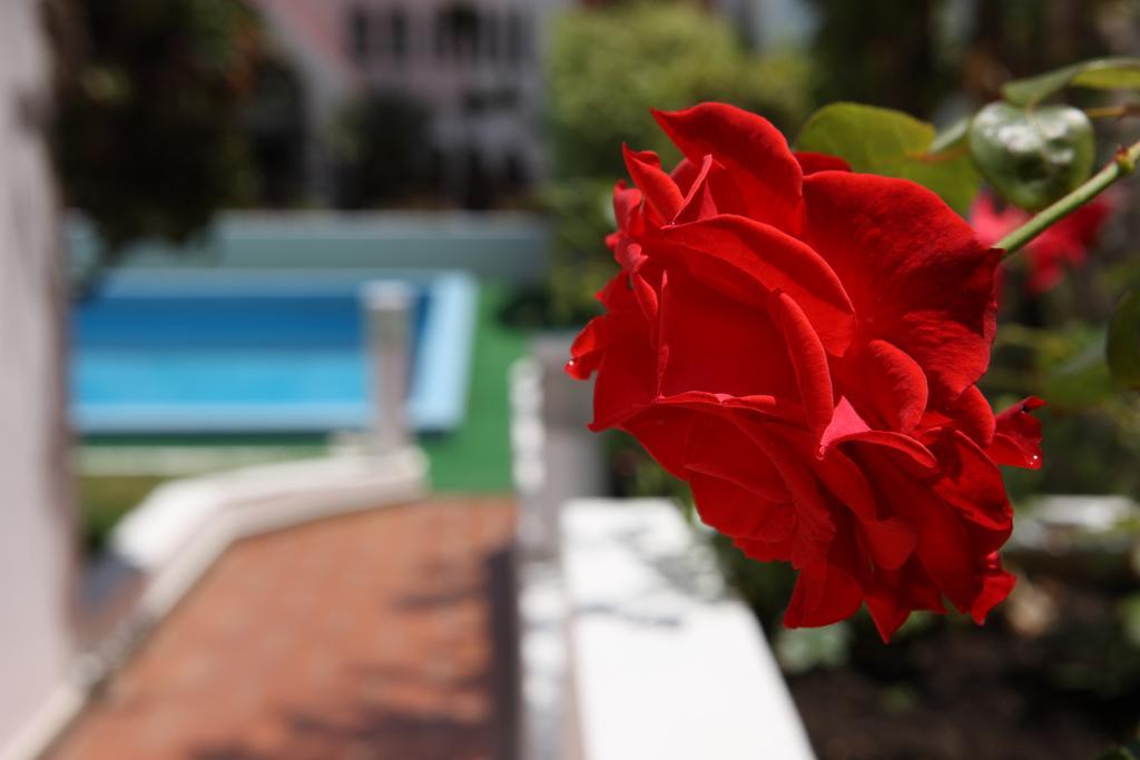 Canico Bay Apartments Zewnętrze zdjęcie